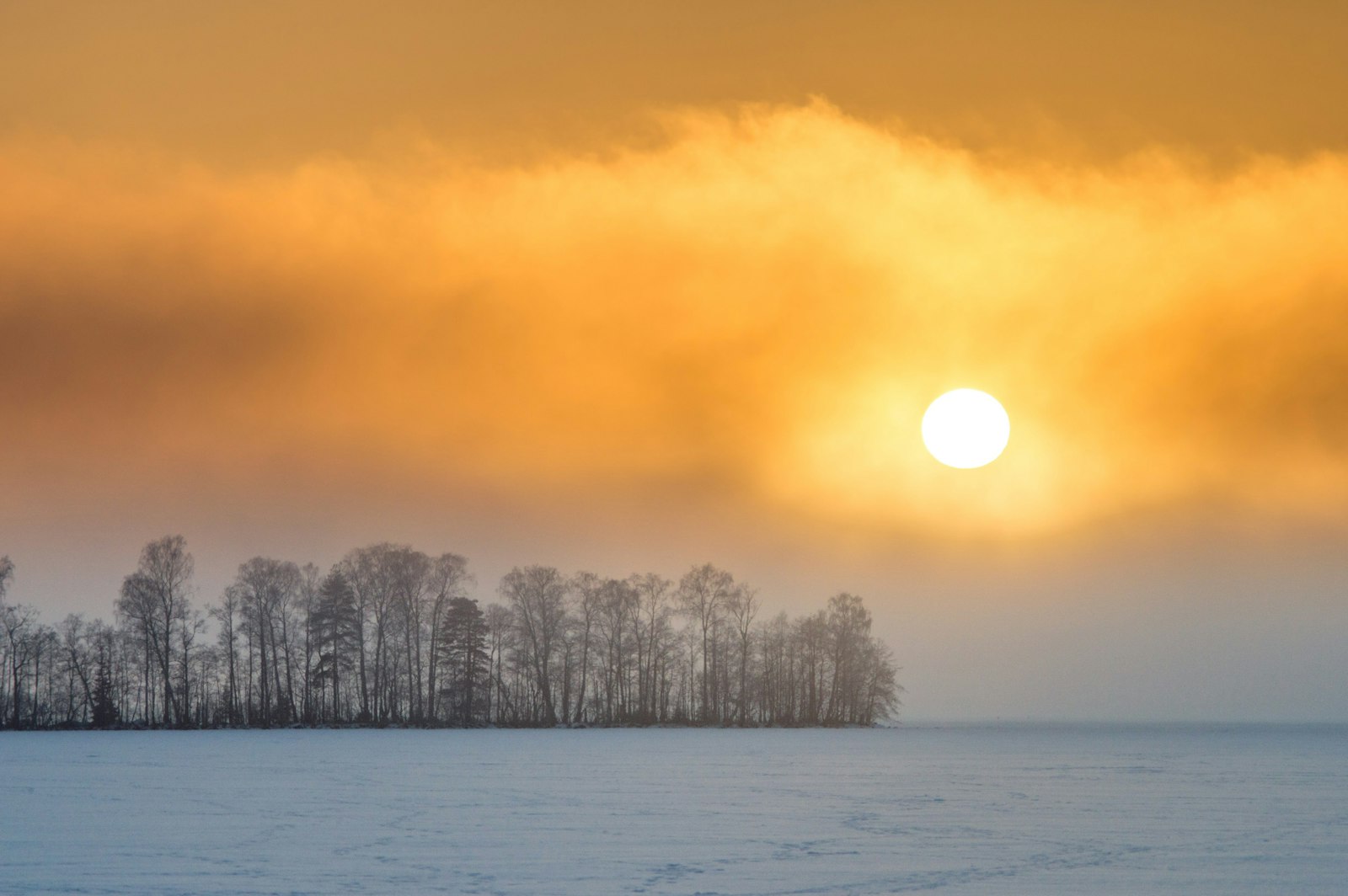 Vitamin D-mangel: Nordmenns skjulte helseproblem